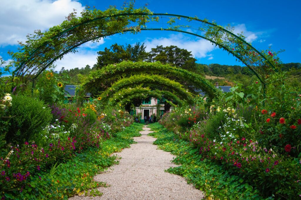 agriframes-pergola