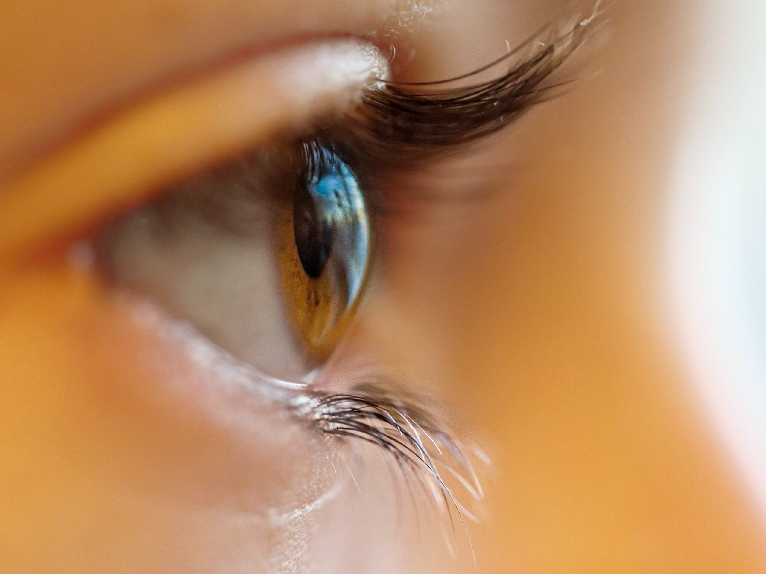 lensnature-contacts