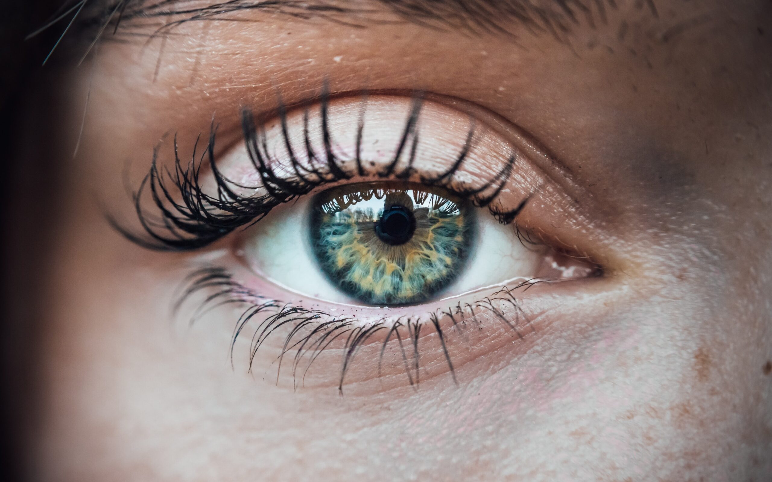 lensweets-contacts